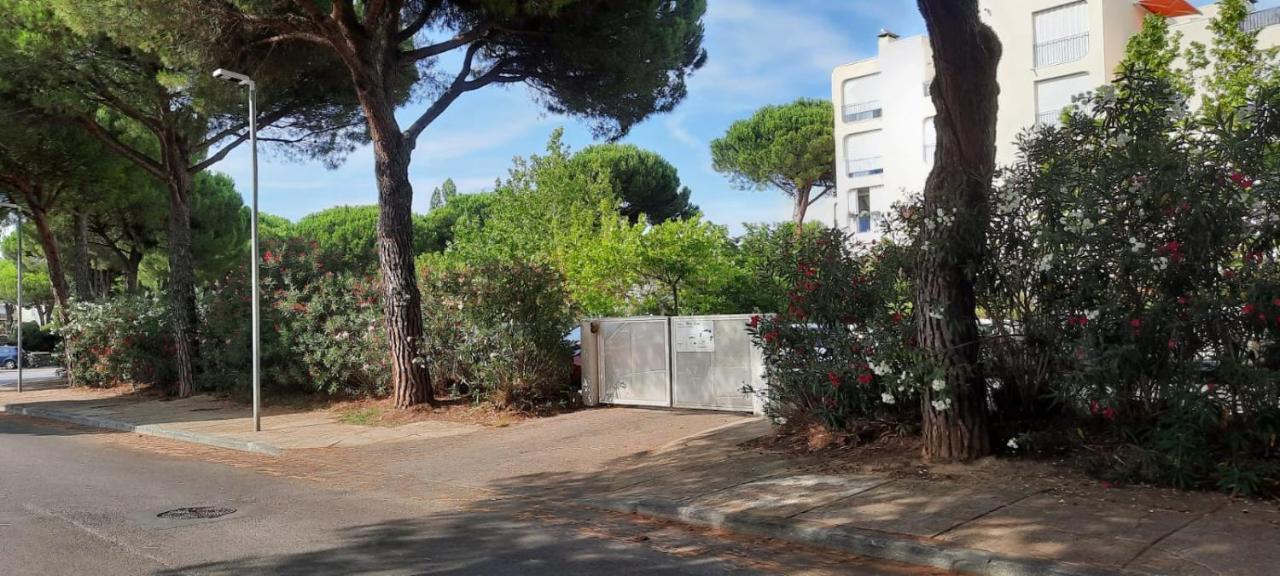 T 2 Mottland 300 M Plage La Grande-Motte Exterior foto